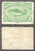 Newfoundland Scott 46 Mint VF (P)